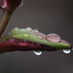 Goutte à goutte